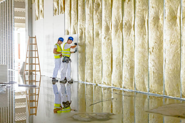 Best Insulation Maintenance and Repair in Victoria, KS